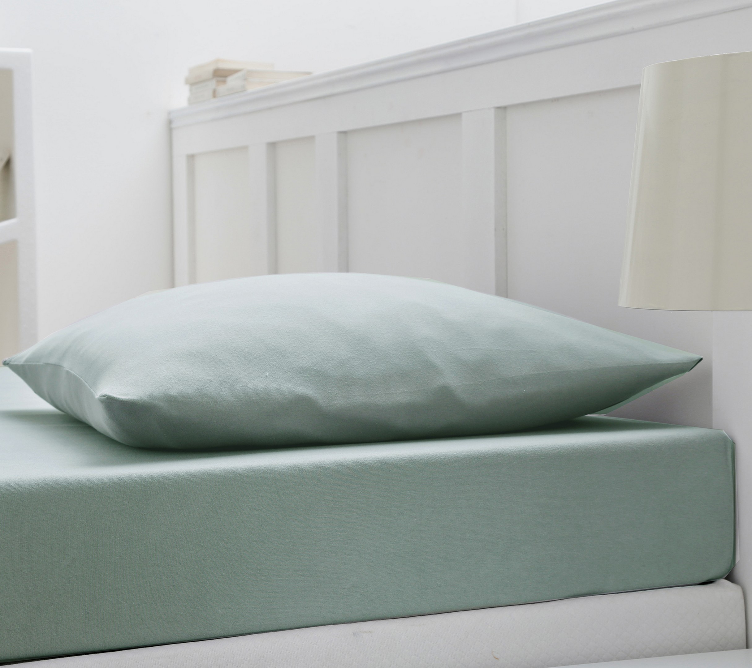 ENSEMBLE PLANETE SAUGE 