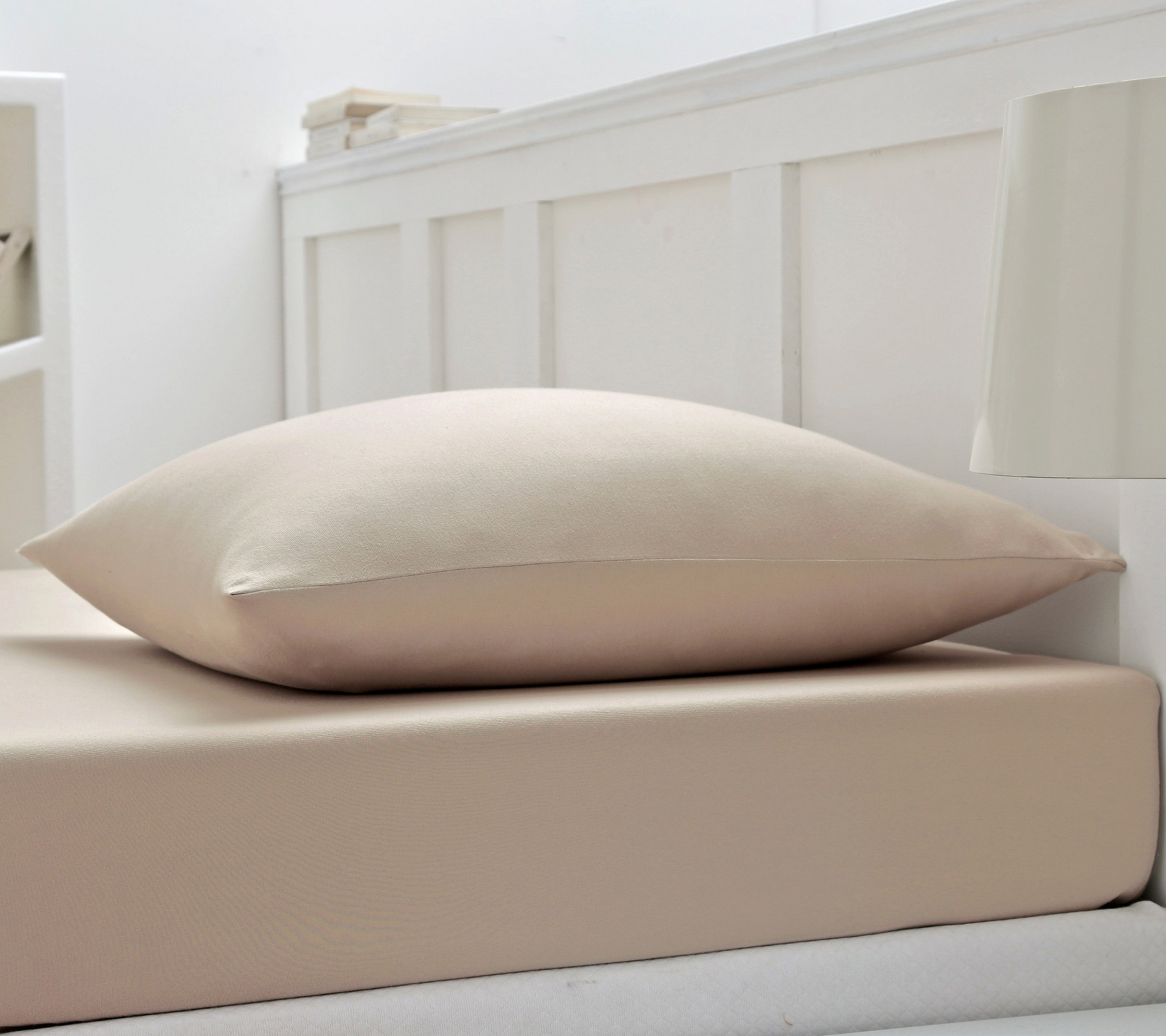 ENSEMBLE PLANETE CHANVRE 