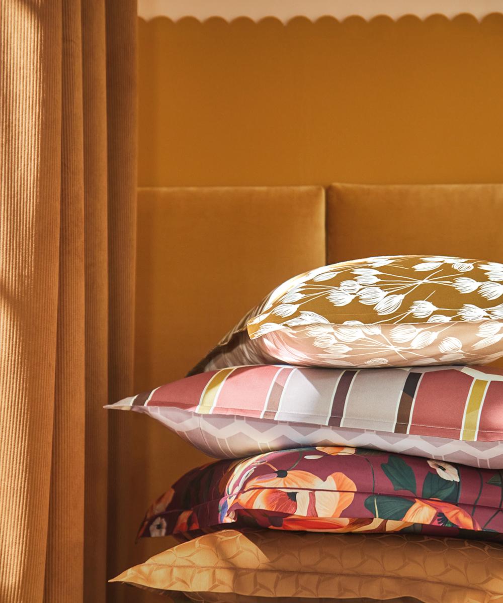 Nouvelle collection Blanc des Vosges